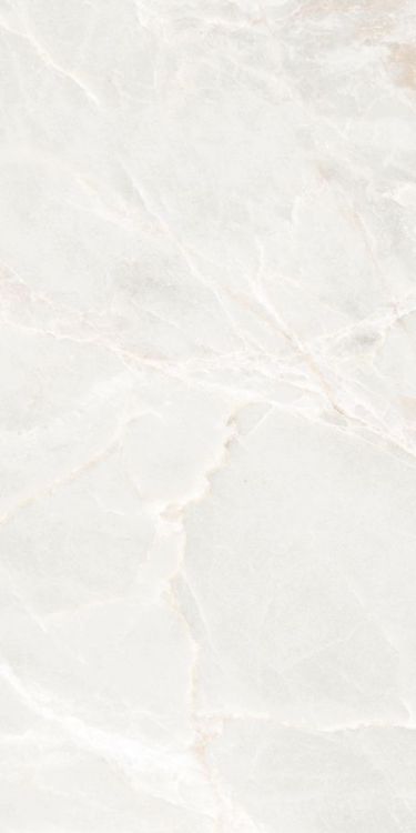 Brasilia White Polished 12 x 24